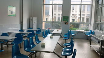增強食品安全意識樹立餐飲行業(yè)典型，桐溪幼兒園入列A級餐飲服務(wù)單位
